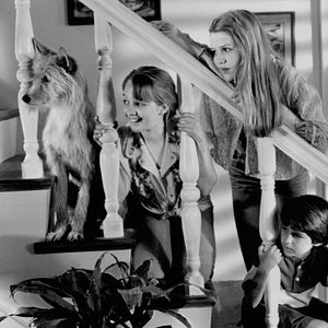 Fotoğraf Zeus ve Roxanne