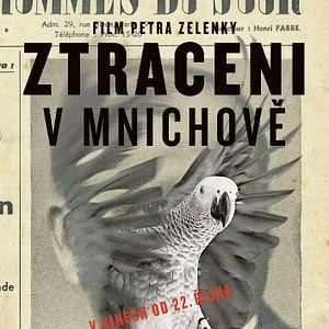 Fotoğraf Ztraceni v Mnichove