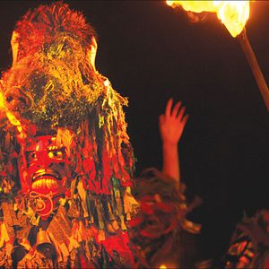 Fotoğraf O Ornitólogo