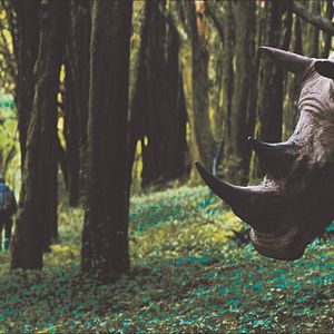 Fotoğraf O Ornitólogo