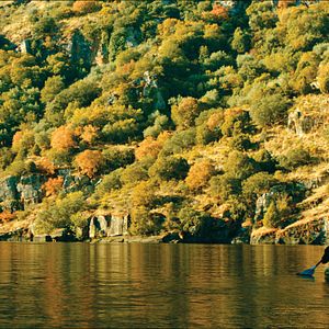 Fotoğraf O Ornitólogo