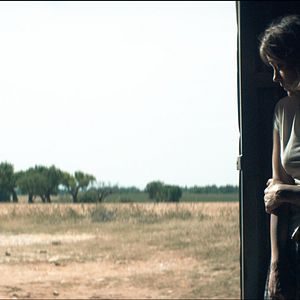 Fotoğraf Aşk Mektupları