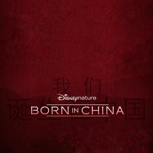Fotoğraf Born In China