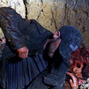 Fotoğraf The Neighbor