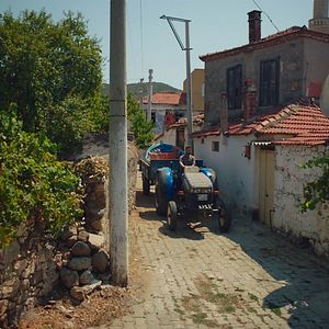 Fotoğraf Suda Balık