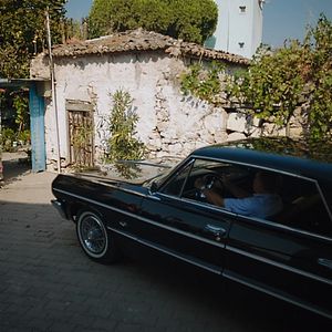 Fotoğraf Suda Balık