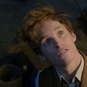 Fotoğraf Eddie Redmayne