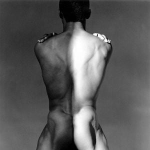 Fotoğraf Mapplethorpe: Fotoğrafa Bak!