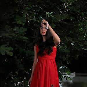 Fotoğraf Kertenkele