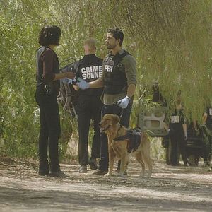 Fotoğraf Aisha Tyler