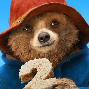 Fotoğraf Ayı Paddington 2