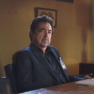 Fotoğraf Joe Mantegna