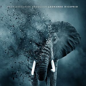 Fotoğraf The Ivory Game