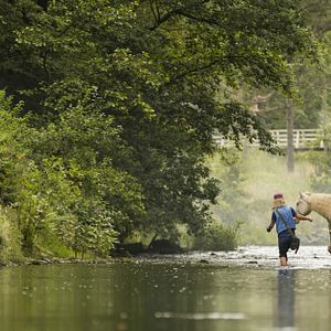 Fotoğraf Jule Hermann