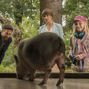 Fotoğraf Jule Hermann