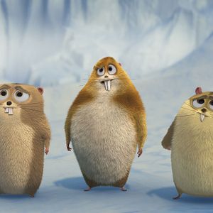 Fotoğraf Karlar Kralı Norm