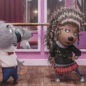 Fotoğraf Şarkını Söyle