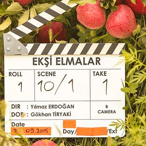 Fotoğraf Ekşi Elmalar