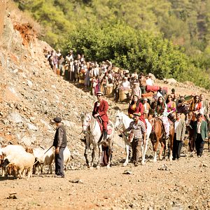 Fotoğraf Ekşi Elmalar