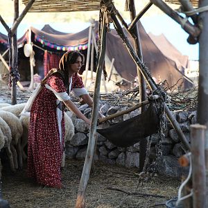 Fotoğraf Ekşi Elmalar