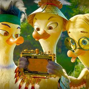 Fotoğraf Kahraman Ördek