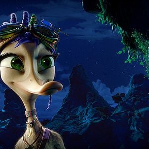 Fotoğraf Kahraman Ördek