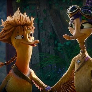 Fotoğraf Kahraman Ördek