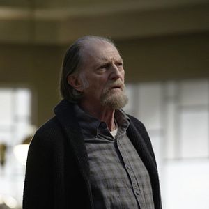 Fotoğraf David Bradley (IV)