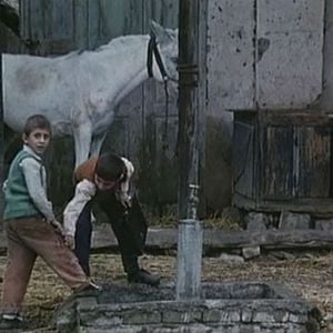 Fotoğraf Ahmed Ahmed Poor