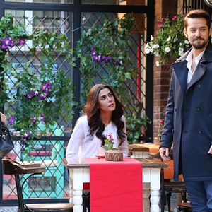 Fotoğraf Kertenkele