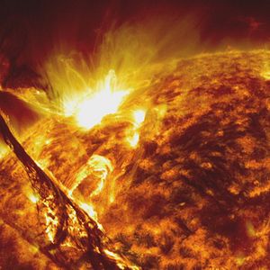 Fotoğraf Lo And Behold, Reveries Of The Connected World