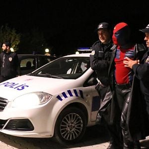 Fotoğraf Kertenkele