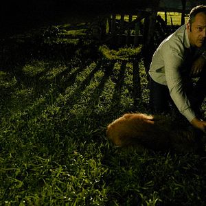 Fotoğraf Gil Bellows