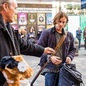 Fotoğraf Sokak Kedisi Bob