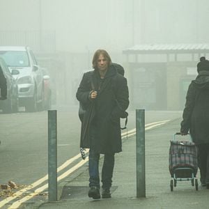 Fotoğraf Sokak Kedisi Bob