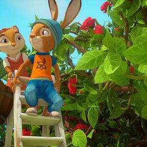 Fotoğraf Tavşan Okulu