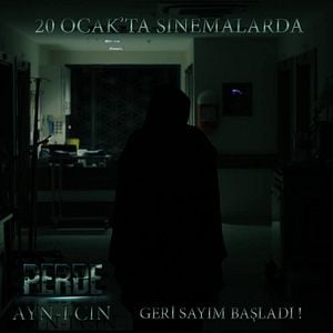 Fotoğraf Perde Ayn-ı Cin