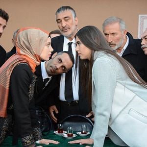 Fotoğraf Kertenkele