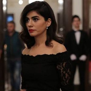 Fotoğraf Seviyor Sevmiyor