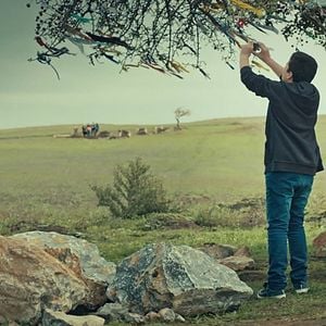 Fotoğraf Kırıntılar