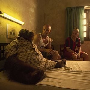 Fotoğraf Franck Gastambide