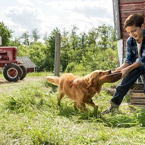 Fotoğraf Can Dostum
