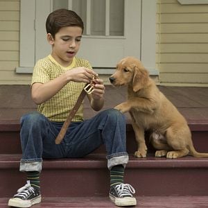 Fotoğraf Can Dostum