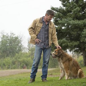 Fotoğraf Can Dostum