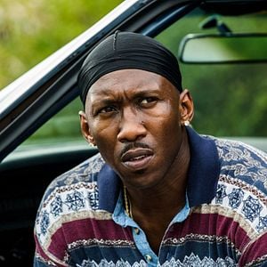 Fotoğraf Ay Işığı