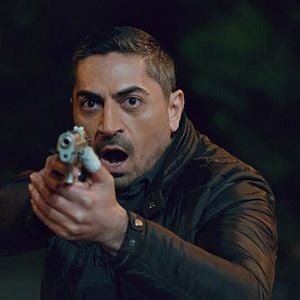 Fotoğraf Kertenkele