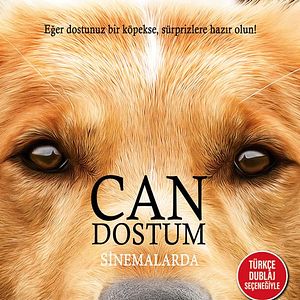 Fotoğraf Can Dostum