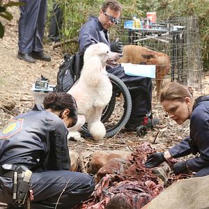 Fotoğraf T.J. Thyne