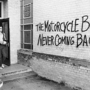 Fotoğraf Siyam Balığı