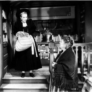 Fotoğraf Marlene Dietrich